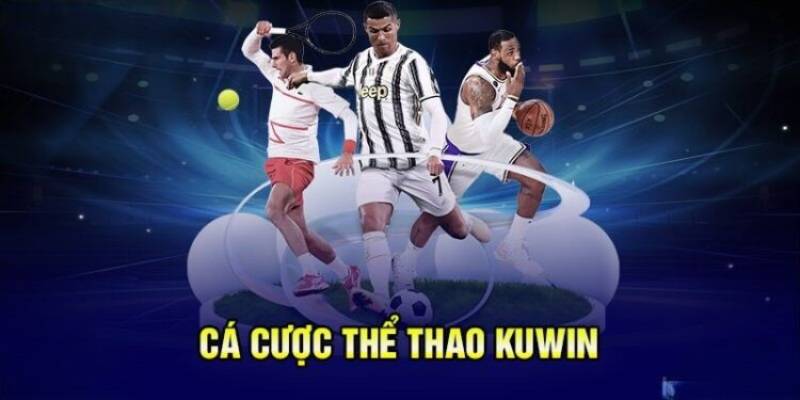 Các môn thể thao thu hút người chơi tại nhà cái